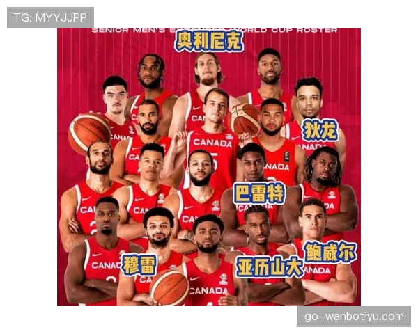 加拿大队世界杯主力阵容预测